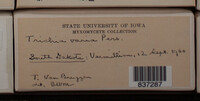 Image Associated With the Occurence